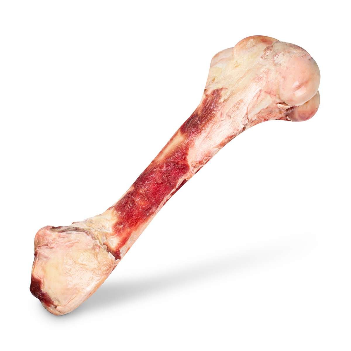 4260396660554 - Rinderhüftknochen für Hunde | ca 50 cm lang - Gewicht 28 kg