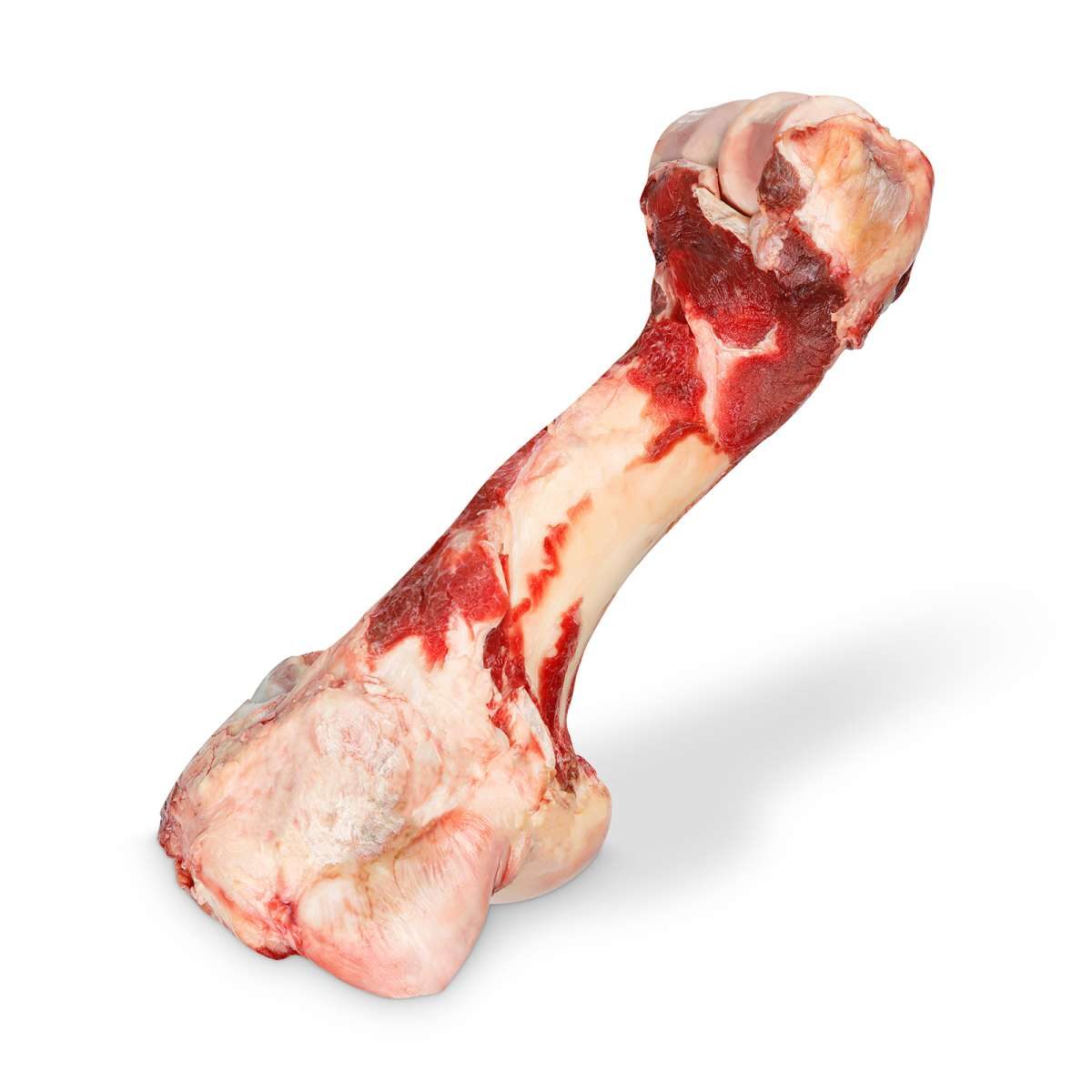 4260396660561 - Rinderknochen für Hunde | ca 35 cm lang - Gewicht 21 kg