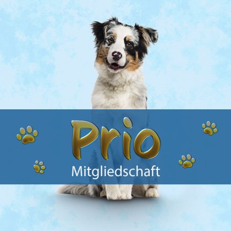 Prio-Modell