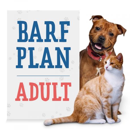 BARF-Plan Adult