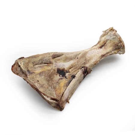 Schaufelknochen vom Rind (getrocknet)