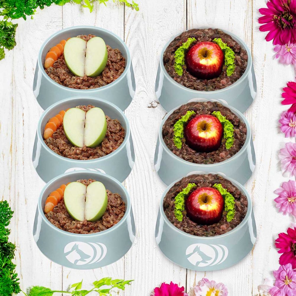 https://frostfutter-perleberg.de/3267-thickbox/saison-menu-bundle-fruehling-sommer.jpg