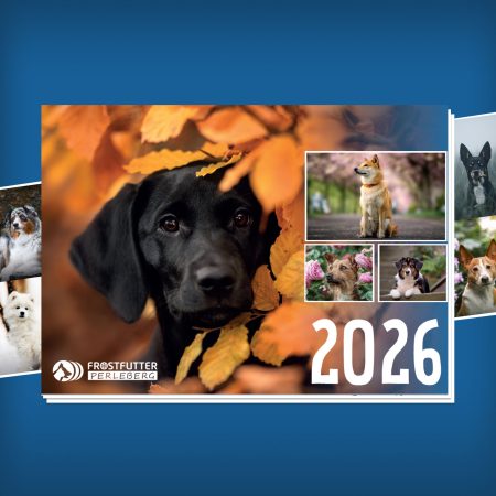 Fotokalender 2026