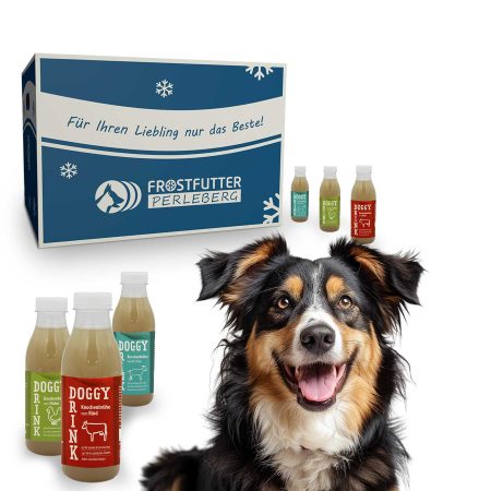 Doggy-Drink-Bundle