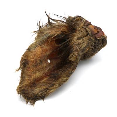 Vorschaubild: Vorteilspack Rinderohren mit Fell (getrocknet, 1500 g) 2 / 4