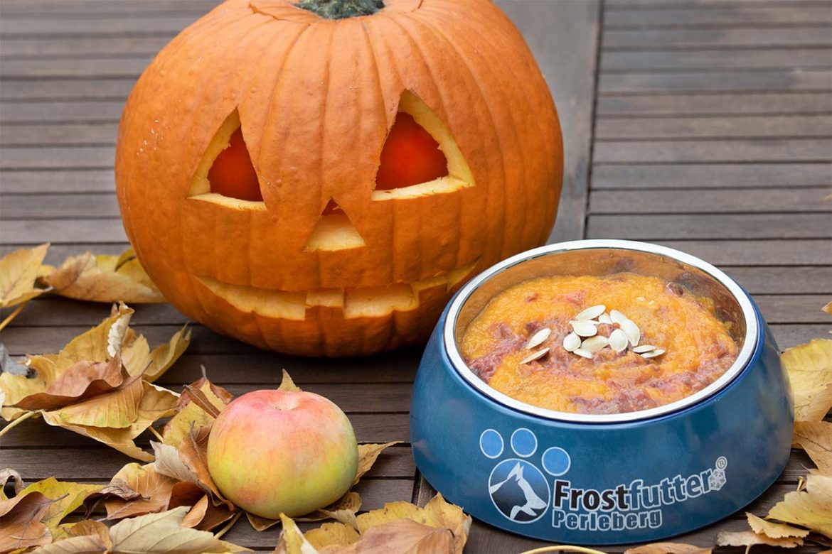Halloween BARF-Rezept