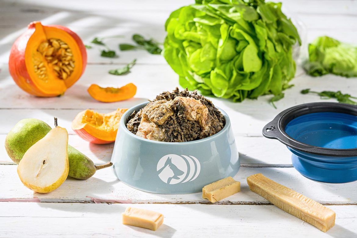 Pansen & Blättermagen