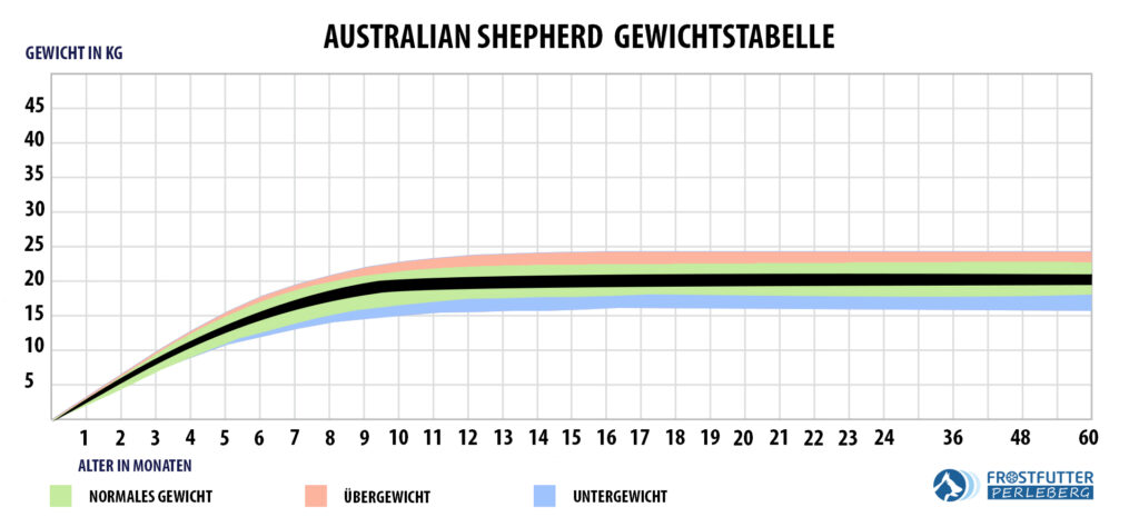 Australian Shepherd Gewichtstabelle