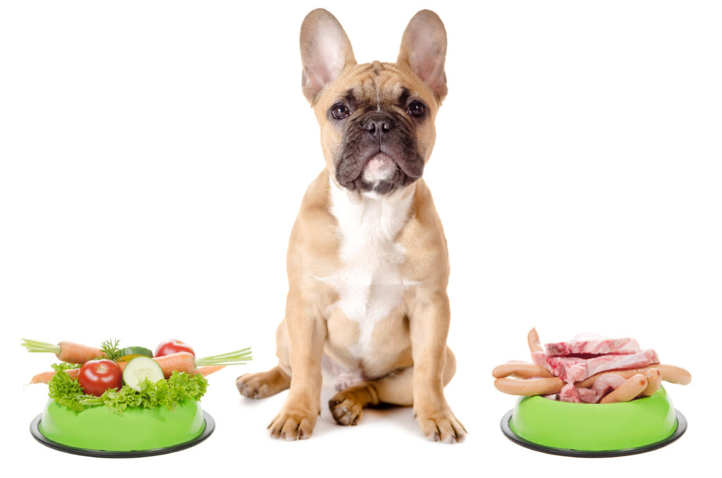 Gemüse und Fleisch für den Französische Bulldoggen