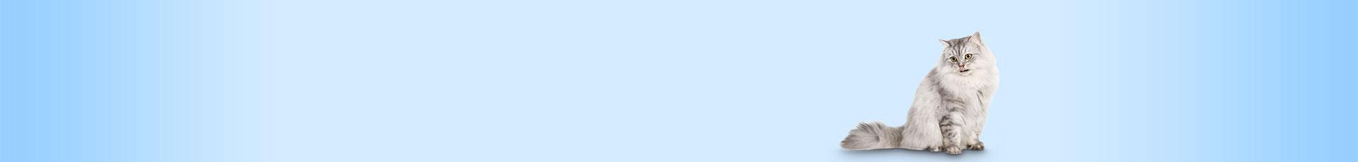 Bild zum Thema Haut & Fell