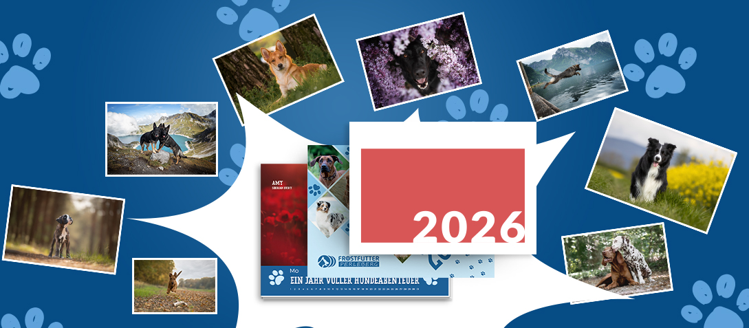 Fotowettbewerb Kalender 2026