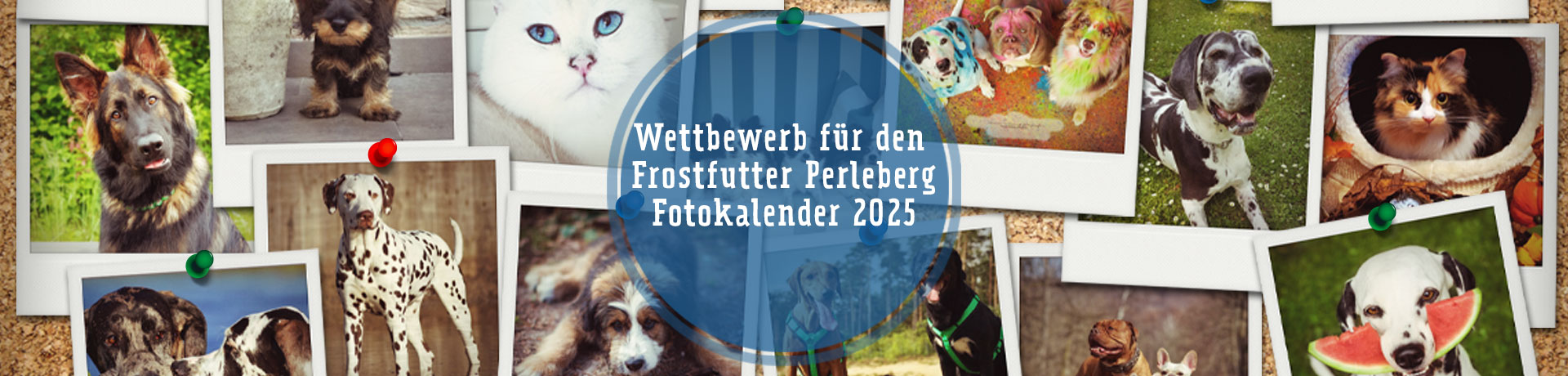 Fotowettbewerb Kalender 2022