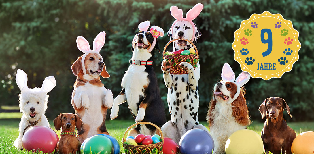 Ostergewinnspiel | Frostfutter Perleberg | Frostfutter ...