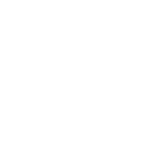 tagesfrische Verarbeitung, Trocknung & Verpackung